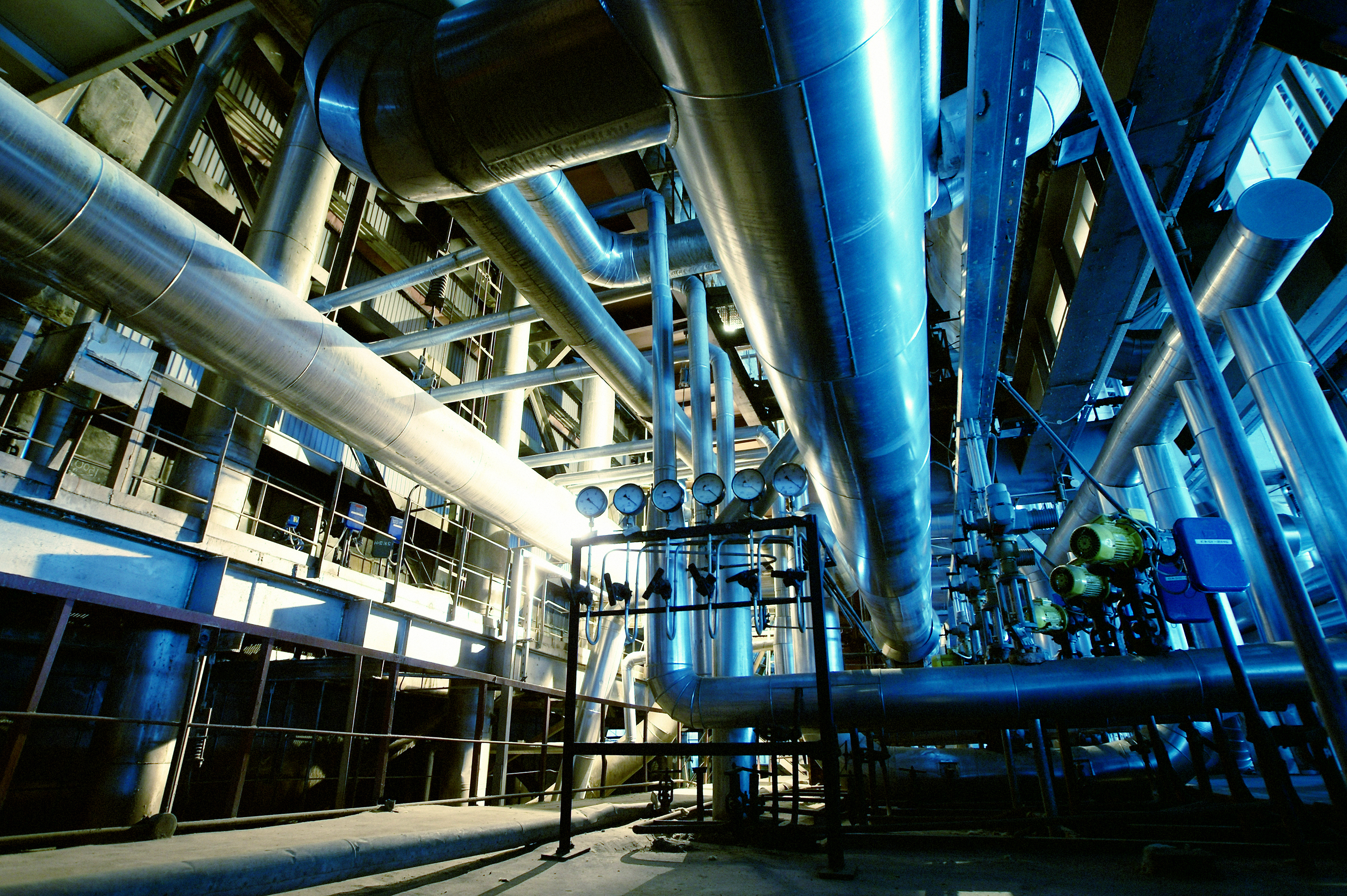 Shutterstock 172420952